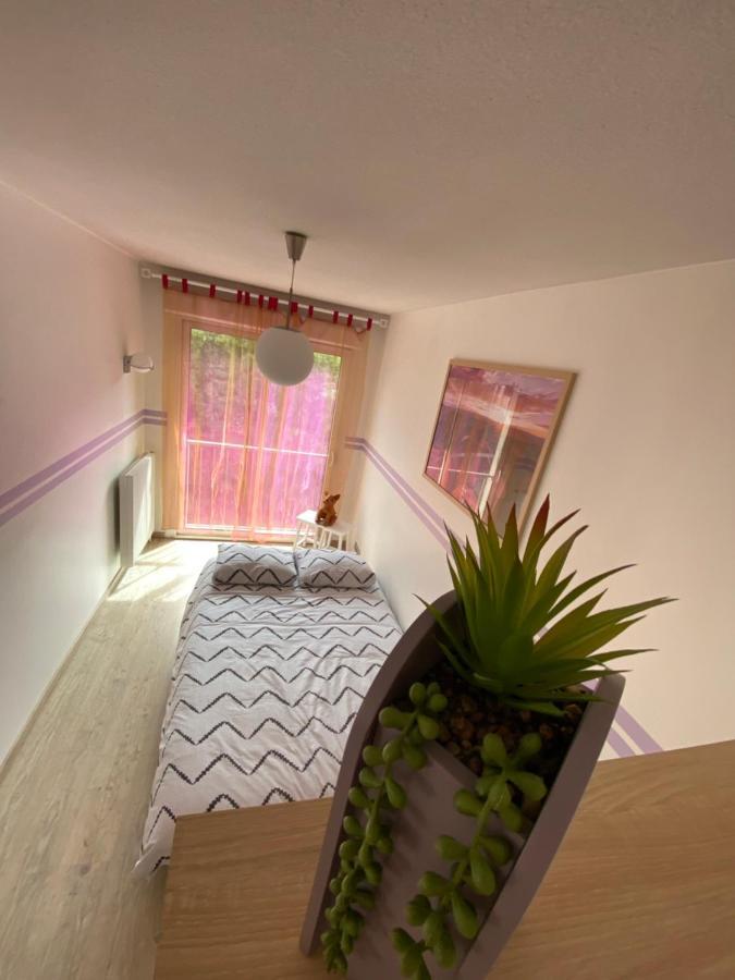 Decouvrez Le Charme Au Coeur De Gap Apartman Kültér fotó